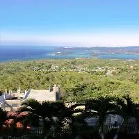 Paradise Clarridge View Montego Bay Hotel
